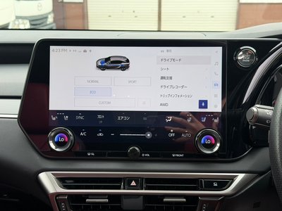 2023 Lexus RX thumbnail 41