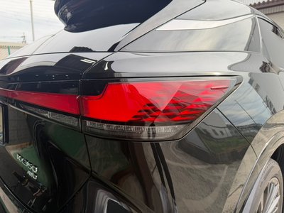 2023 Lexus RX thumbnail 25