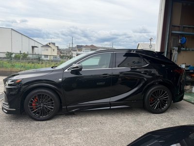 2023 Lexus RX thumbnail 20