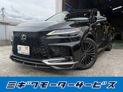 2023 Lexus RX photo 1