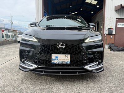 2023 Lexus RX photo 12