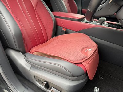 2023 Lexus RX thumbnail 61