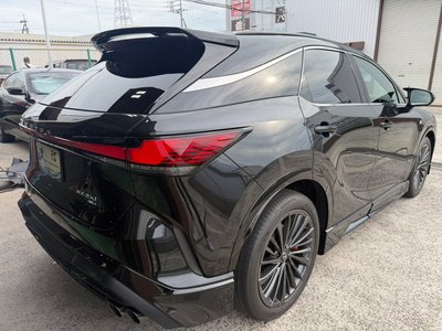 2023 Lexus RX thumbnail 24