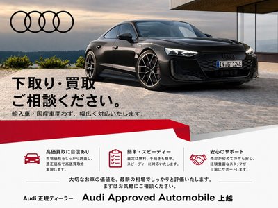2024 AUDI SQ2 photo 9