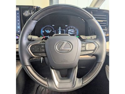 2025 Lexus LM photo 14