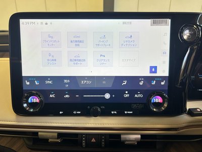 2025 Lexus LM thumbnail 32
