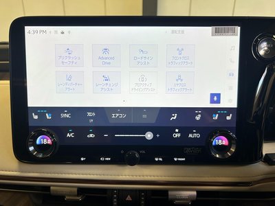 2025 Lexus LM thumbnail 31