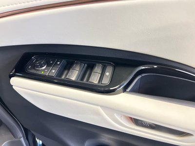 2025 Lexus LM photo 10