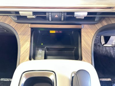 2025 Lexus LM thumbnail 30