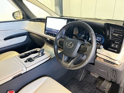 2025 Lexus LM photo 13