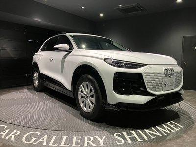 صورة مصغرة 19 لـ 2026 AUDI Q6 E-TRON