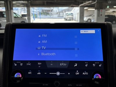 2024 Toyota ALPHARD 缩略图 55