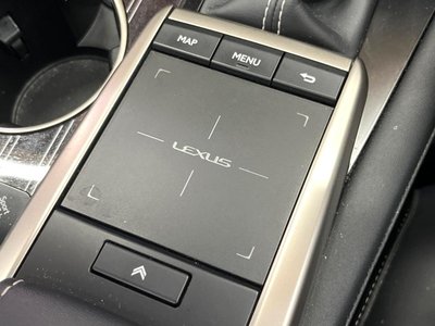 2019 Lexus RX thumbnail 59