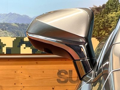 2019 Lexus RX thumbnail 28