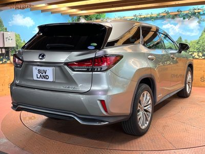 2019 Lexus RX thumbnail 67