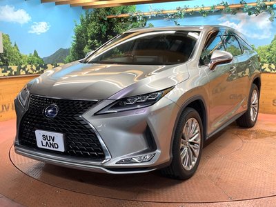 2019 Lexus RX thumbnail 64
