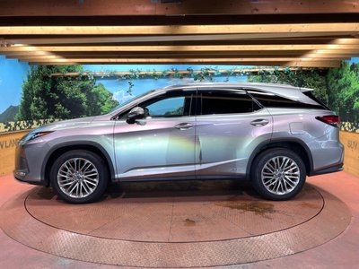 2019 Lexus RX thumbnail 63