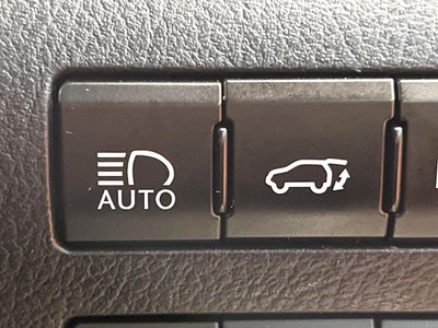 2019 Lexus RX thumbnail 38