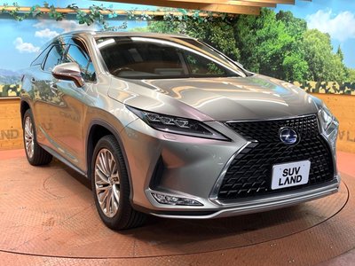 2019 Lexus RX thumbnail 65