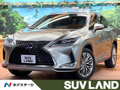 2019 Lexus RX photo 1