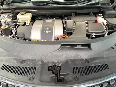 2019 Lexus RX thumbnail 18