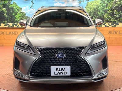 2019 Lexus RX photo 16