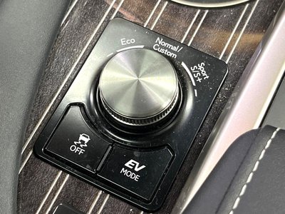 2019 Lexus RX thumbnail 60
