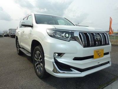 2023 Toyota LAND CRUISER PRADO — фото 6