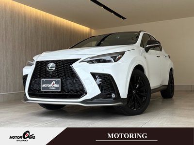 2022 Lexus NX photo 1
