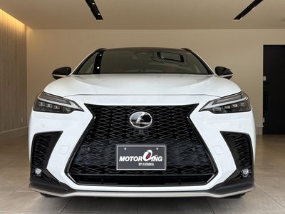 2022 Lexus NX thumbnail 22