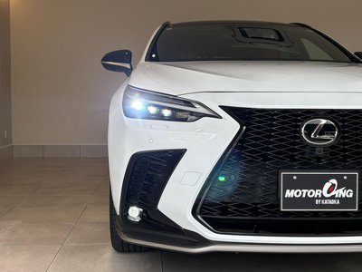 2022 Lexus NX thumbnail 20
