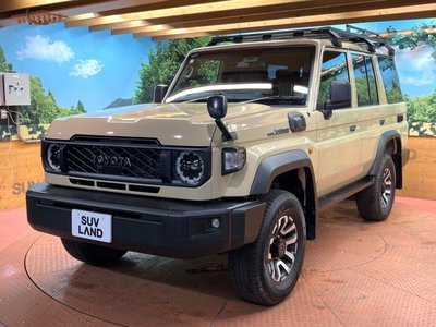 2025 Toyota LAND CRUISER 70 thumbnail 49