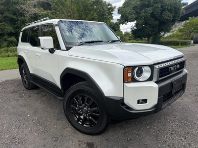 2025 Toyota LAND CRUISER 250 thumbnail 18