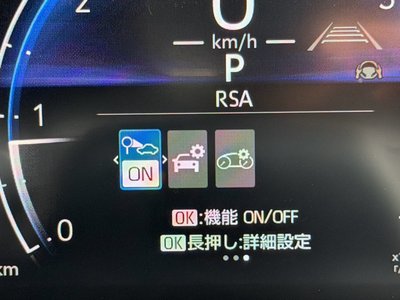 2025 Toyota LAND CRUISER 250 thumbnail 54