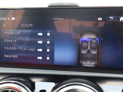 2025 Mercedes-BENZ A-CLASS AMG — миниатюра 53