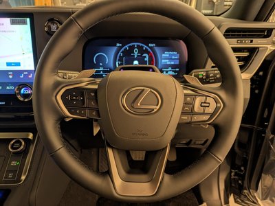 2025 Lexus GX 缩略图 23