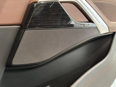 2024 BMW X6 thumbnail 39
