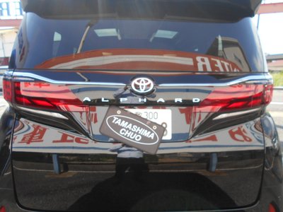 صورة مصغرة 26 لـ 2026 Toyota ALPHARD