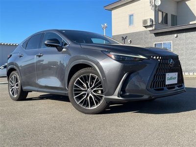 صورة مصغرة 41 لـ 2023 Lexus NX