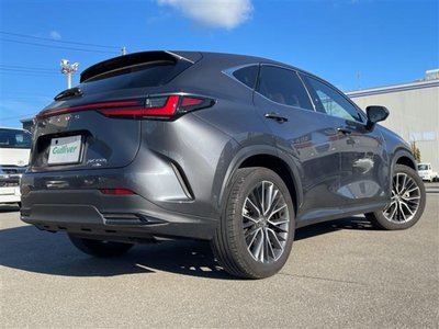 صورة مصغرة 44 لـ 2023 Lexus NX