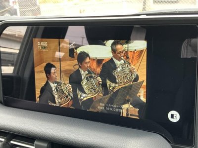 2024 Toyota LAND CRUISER 250 缩略图 11