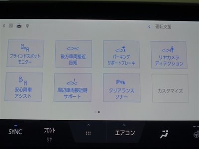 2025 Toyota ALPHARD — фото 15