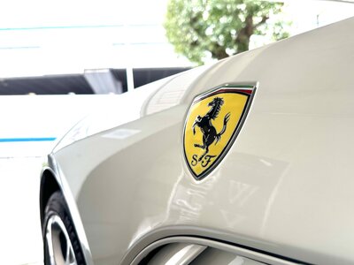 2009 Ferrari CALIFORNIA 照片 32