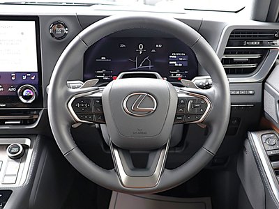 2025 Lexus GX 照片 10