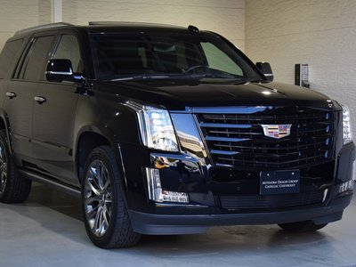 صورة مصغرة 20 لـ 2019 Cadillac ESCALADE