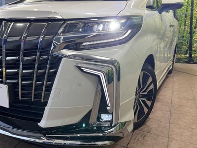 2023 Toyota ALPHARD 照片 13