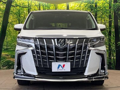2023 Toyota ALPHARD 照片 15