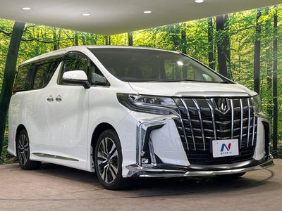 2023 Toyota ALPHARD 照片 17