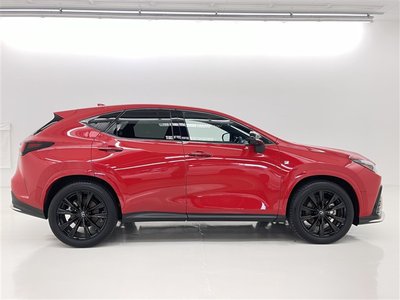 2023 Lexus NX 缩略图 19