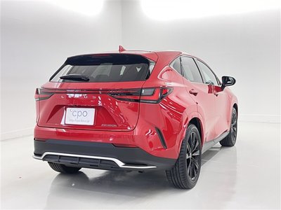 2023 Lexus NX 缩略图 18